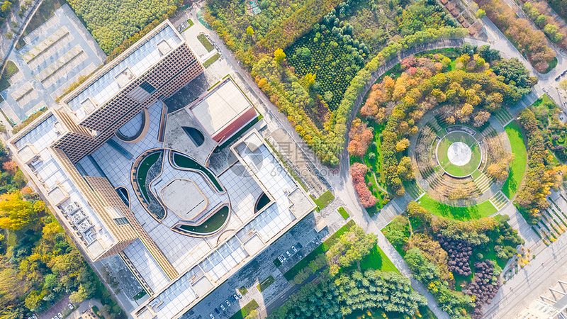 成都芯片研发公司排名：揭秘行业实力与趋势