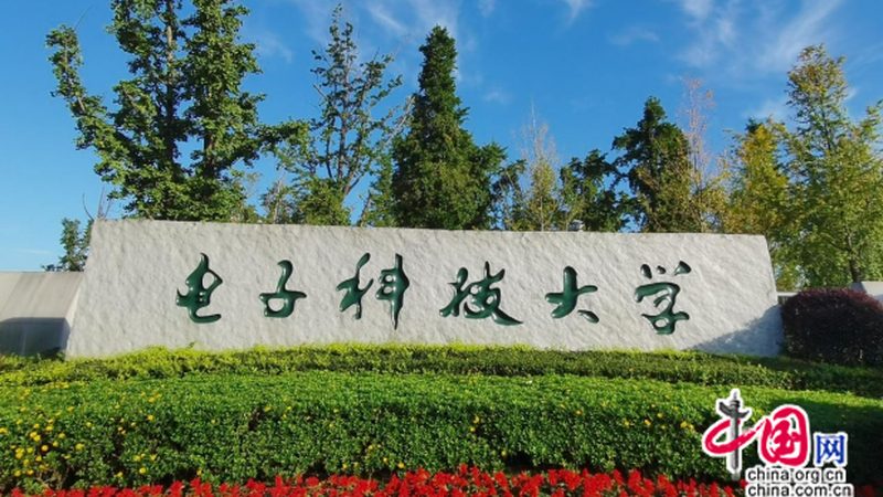揭秘广东电子代工十大品牌：揭秘背后的技术与实力**